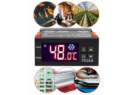 ładowanie obrazka...