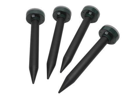 ładowanie obrazka...