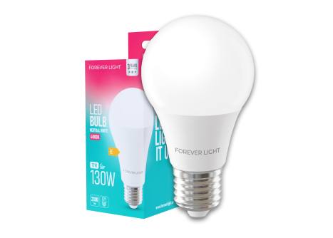 ładowanie obrazka...